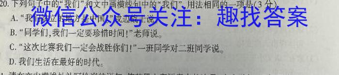 百师联盟 2024届广东省高三12月联考语文