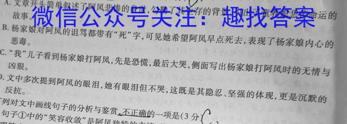 乐山市高中2025届教学质量检测（期末考试）语文